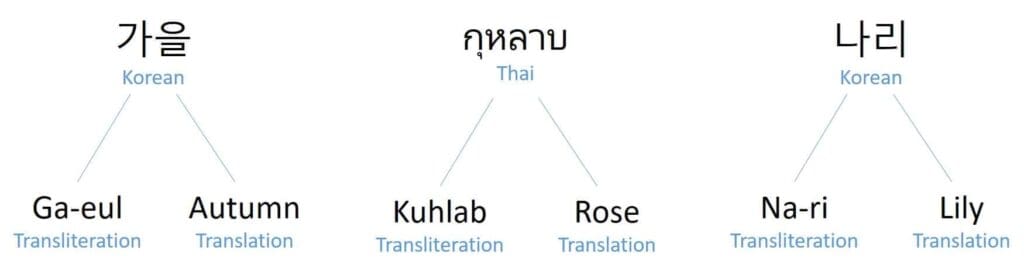 transliterations vs translations