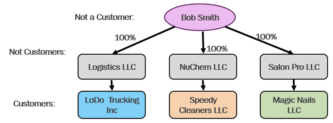 Elements of Customer Risk: Profiles and Relationships - Alessa