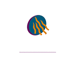 queensland-health-transparent